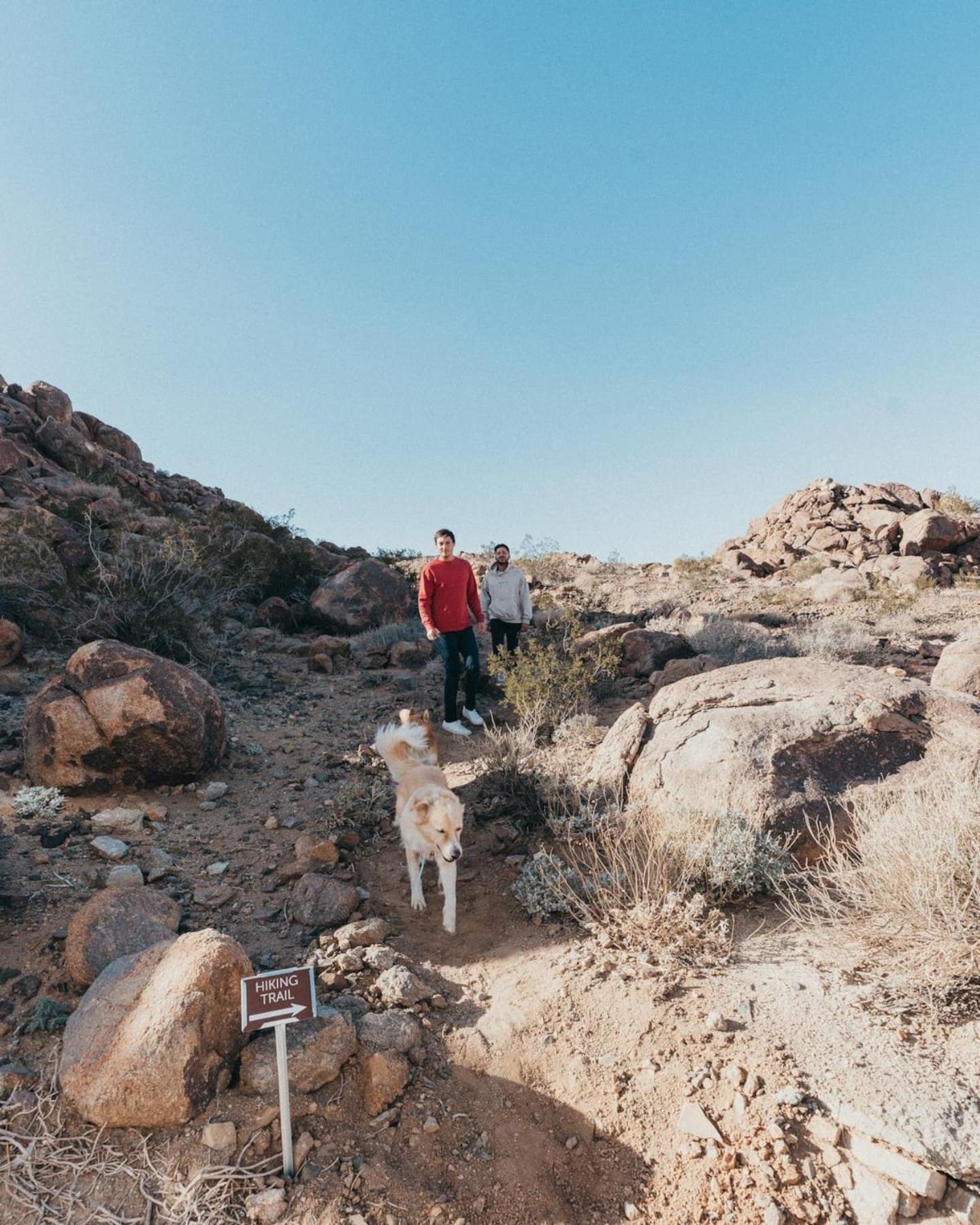 Villa Prism By The Cohost Company Joshua Tree Esterno foto